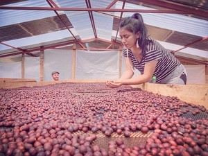 Conoce a Merlith Cruz, catadora que se abre camino en el mercado internacional del café