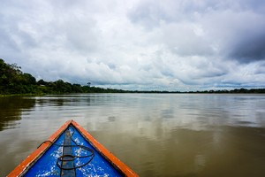 La Amazonía sin oxígeno