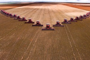 América: degradación de biodiversidad pone en riesgo el futuro de la humanidad