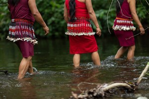 ¡Oportunidad! Fondo para mujeres indígenas amazónicas líderes en temas ambientales