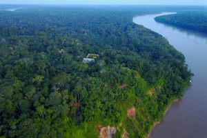 Castañeros de Madre de Dios usan drones para vigilar sus bosques