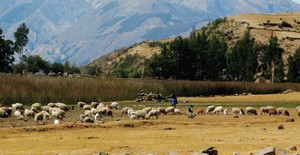 Una gobernanza responsable contribuye a la protección de la tierra y los recursos naturales