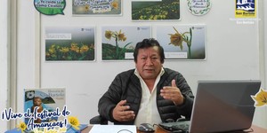 Municipalidad de San Bartolo presenta charla virtual “La Fiesta de San Juan de Amancaes”