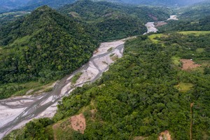 San Martín: bosques nubosos de Shunté y Mishollo se convierten en área protegida