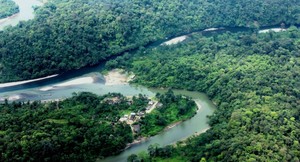 ¿Funciona o no el negocio del carbono en Colombia?