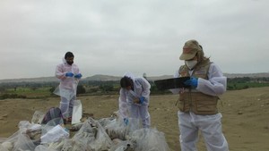 Ministerio de Cultura recupera bienes culturales afectados en el Sitio Arqueológico Pampa de Ánimas