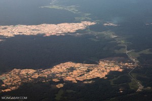 Nuevo juzgado en Madre de Dios y tres mil delitos ambientales en espera