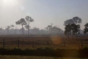 Los preocupantes efectos de la Carretera Interoceánica en Madre de Dios