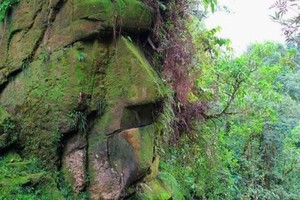 Ministerio de Cultura declara Patrimonio Cultural de la Nación al Sitio Arqueológico Rostro Harakbut