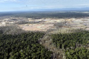 Estos son los lugares más afectados por la deforestación en el Perú