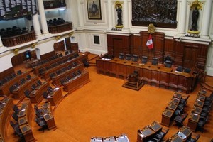 ¿Representan los congresistas a la Nación?