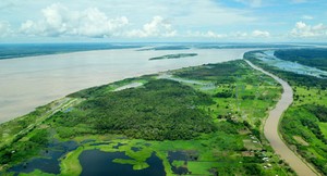 DESARROLLO EMPRESARIAL SOSTENIBLE DE LA AMAZONÍA