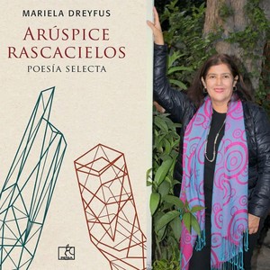 Mariela Dreyfus presentó su poemario Arúspice rascacielos