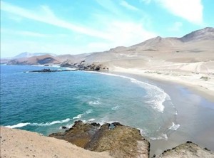 CUANDO LA FELICIDAD NO SOLO ESTÁ EN TOMAR SOL, SINO CORRER EN LA PLAYA