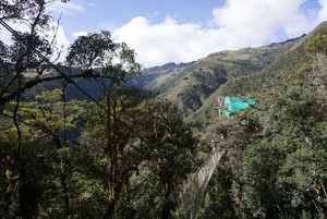 Experimento en bosque nublado del Cusco permite conocer efectos del cambio climático