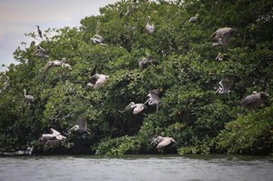 Día Mundial del Guardaparque: historias de esfuerzo y pasión de quienes viven dedicados a la naturaleza