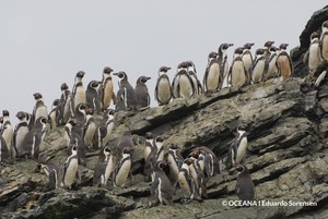 Día Internacional de la Tierra: mayores compromisos en medio de una pandemia llena de incertidumbres