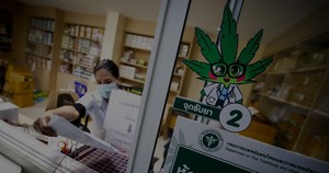 La ONU reconoce oficialmente las propiedades medicinales de la cannabis
