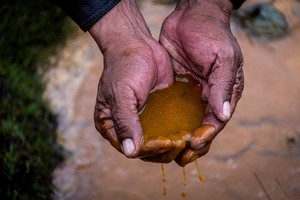 Chinchaycocha, otra víctima