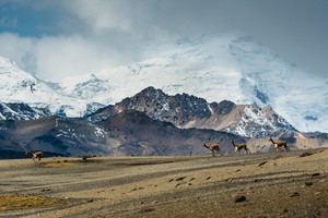 Cusco: creación del área protegida Ausangate peligra por presencia de nuevas concesiones mineras