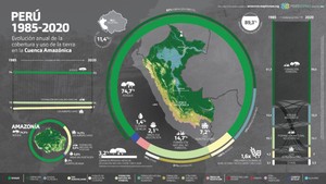 Violencia y deforestación en la Amazonía peruana