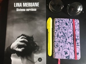 Meruane: Sistema nervioso