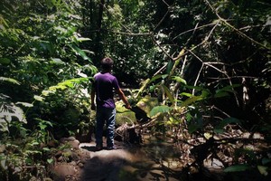 Madre de Dios: los defensores ambientales que resisten en la selva