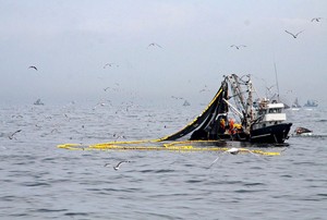 Decreto que moderniza a Imarpe fortalecerá institucionalidad y 
la transparencia en la pesca