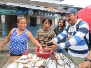 Ciencia ciudadana: nuevo app estudiará en tiempo real a peces de la Amazonía