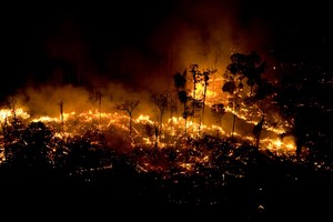 ¿Qué podemos hacer los peruanos ante los incendios en la Amazonía?