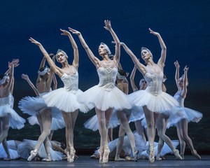 Transmitirán el ballet “El lago de los cisnes” por el portal web GTN EN VIVO