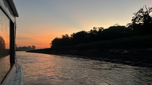 La inspiración de "Naturaleza Tropical" y la esencial labor de ACCA en la conservación amazónica