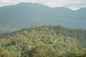 Orquídeas y cavernas en la nueva área de conservación Monte Puyo