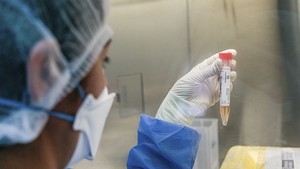 EL CORONAVIRUS Y LA EMERGENCIA SANITARIA EN EL PERÚ