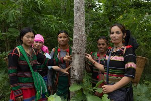 Tarcila Rivera: "Restaurar un bosque es restaurar la dignidad del territorio"