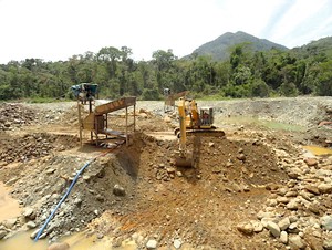 Camanti: el bosque cusqueño que lucha contra la minería