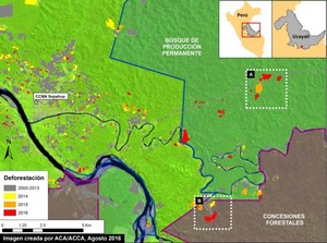 Perú: cinco historias que muestran cómo la deforestación está acabando con la Amazonía