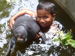 Centro de Rescate Amazónico: un refugio de manatíes en la selva peruana