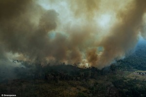 Greenpeace: las dramáticas imágenes de incendios en la Amazonía