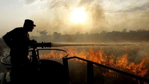 Incendios en la amazonía y grupos de poder