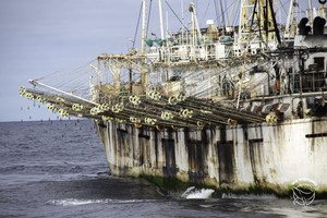 Flota china frente a Ecuador: gobierno anuncia nueva estrategia para proteger Islas Galápagos