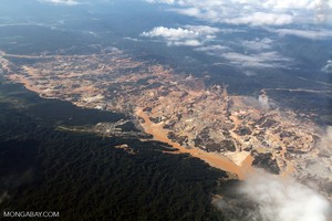 Deforestación en el Perú: la pérdida de bosque se enfrenta a iniciativas de conservación