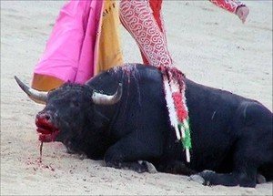 A propósito de la reapertura de la Plaza de Acho