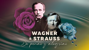 Orquesta Sinfónica Nacional Juvenil Bicentenario presentará concierto dedicado a Wagner & Strauss