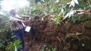 Declaran Patrimonio Cultural de la Nación al Sitio Arqueológico Casa del Inca en Madre de Dios