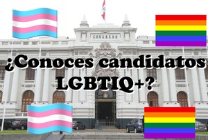 Elecciones 2020: Seis candidatos LGBTIQ+ esperan llegar al Congreso peruano
