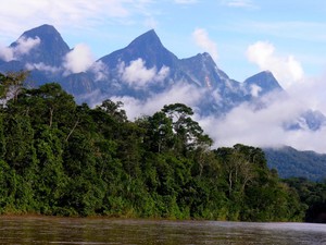 Expectativas y preocupación por nueva ley de cambio climático