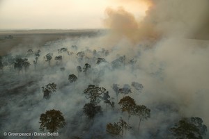 Brasil: deforestación e incendios amplían temporada seca en la Amazonía