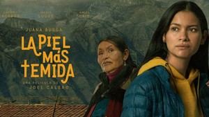 Control al cine peruano. ¿Una vez más?