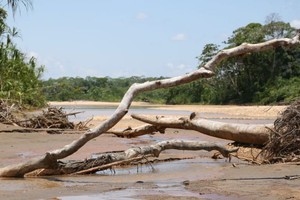 Madre de Dios: dos años después, el asesinato del ambientalista Alfredo Vracko sigue sin resolverse